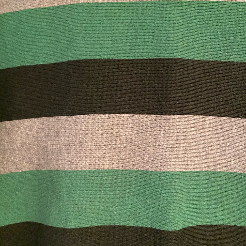 Champion Reverse Weave Gray and Green Striped Sweatshirt, Size Small - Picture 10 of 12